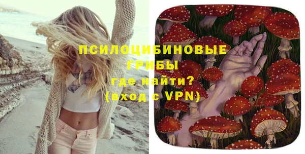 экстази Арсеньев