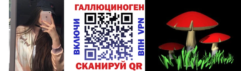 где можно купить   Лихославль  Псилоцибиновые грибы прущие грибы 